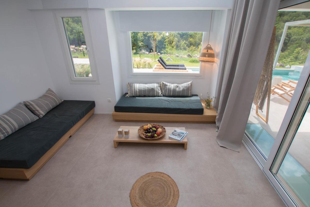 Aristotelia Gi - Premium Luxury Villas With Private Pools Olympiada Luaran gambar